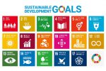 『政府の持続可能な開発目標（ＳＤＧｓ）に関する自発的国家レビュー』について